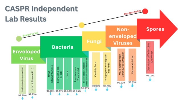 Unveiling the Enigma of Disease X